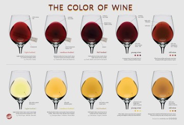 colori_del_vino